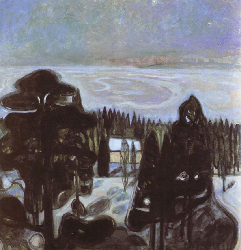 Edvard Munch The night oil painting picture
